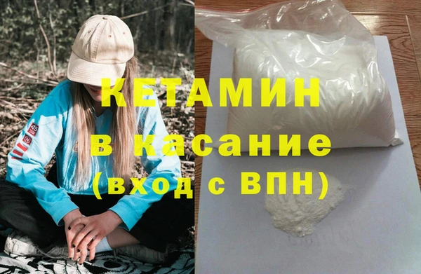 гидра Абаза