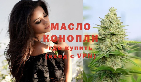 гидра Абаза