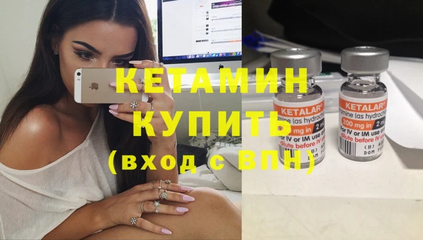гидра Абаза