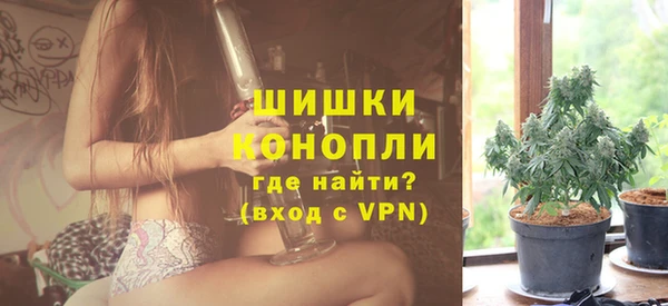 гидра Абаза