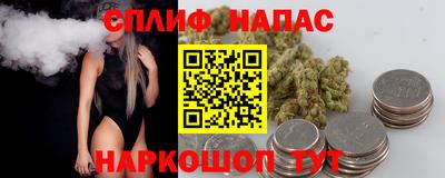 шишки Апшеронск