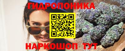 шишки Апшеронск