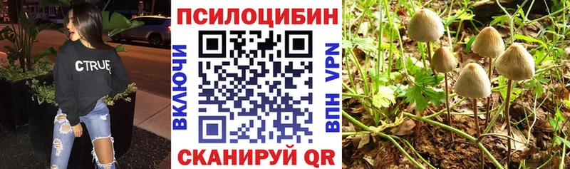Псилоцибиновые грибы Psilocybine cubensis  Балаково 